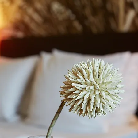 Hotel & Restaurant Schroeder 3*